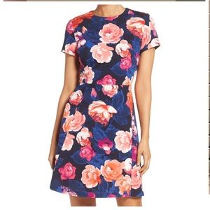 BRAND NEW Eliza J Dress, size 0